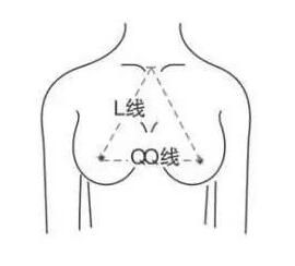 女性乳房形态分为几类:图解最美的两种胸型标准你的是